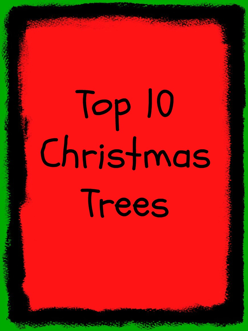 Top 10 Christmas Trees feature image